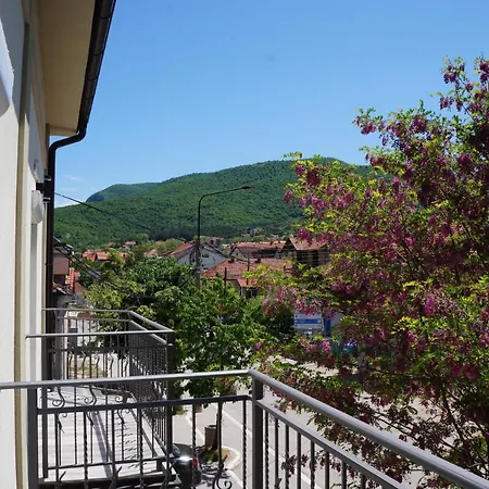 Lux Bogosavljevic Apartment Soko Banja