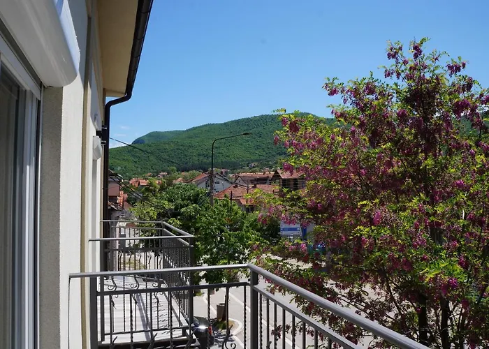 Lux Bogosavljevic Apartment Sokobanja